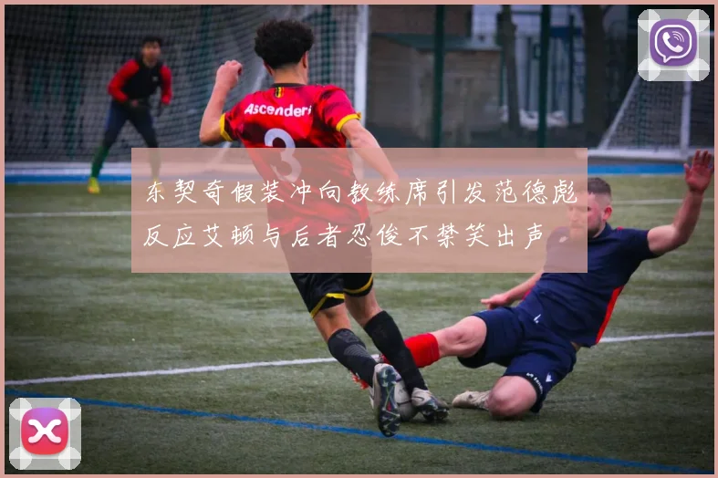 东契奇假装冲向教练席引发范德彪反应艾顿与后者忍俊不禁笑出声