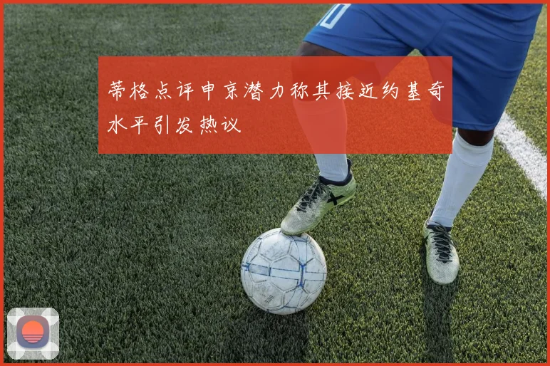 蒂格点评申京潜力称其接近约基奇水平引发热议