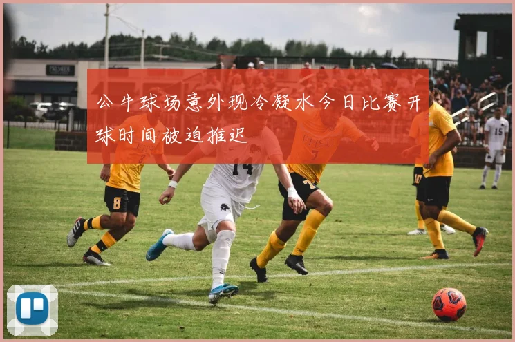 公牛球场意外现冷凝水今日比赛开球时间被迫推迟