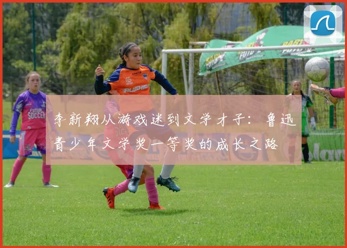 李新翔从游戏迷到文学才子：鲁迅青少年文学奖一等奖的成长之路