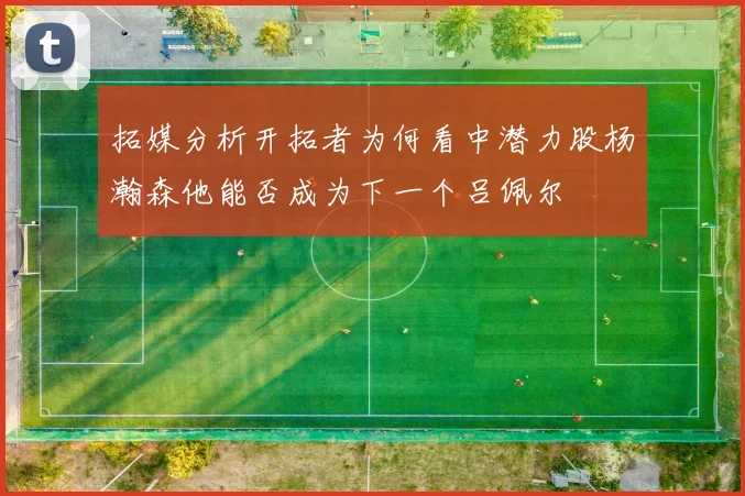 拓媒分析开拓者为何看中潜力股杨瀚森他能否成为下一个吕佩尔