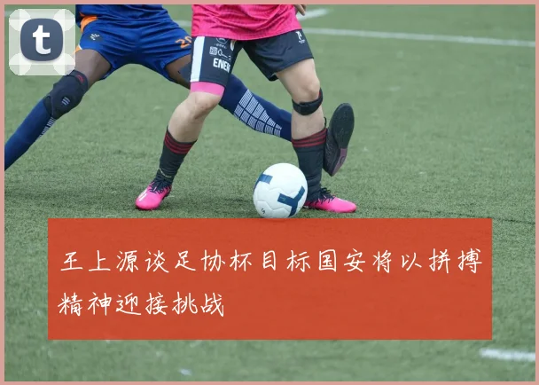 王上源谈足协杯目标国安将以拼搏精神迎接挑战